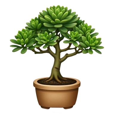 Plant with tubular dark green leaves (Crassula Ovata Golum) with the appearence of a bonsai sticker