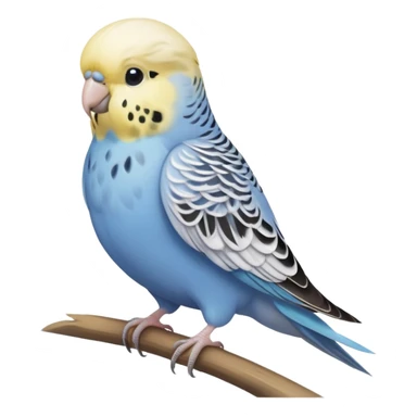 budgie, light grey feathers with a white head sticker