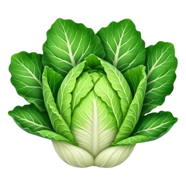 chinese cabbage sticker