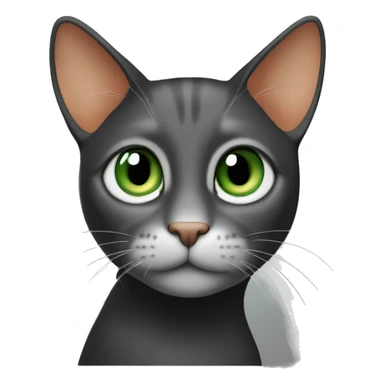 The cat has large green eyes, a smooth gray head without stripes, a light orange muzzle, and a white neck. Its expression is gentle and curious, with a solid black background for contrast. The style is clean, minimalistic, and true to the cat’s colors. sticker