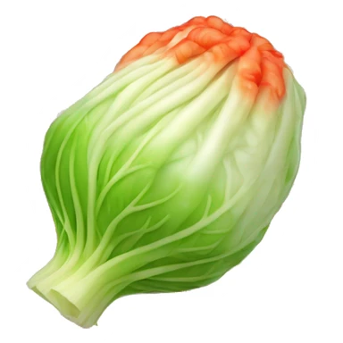 Kimchi : A napa cabbage marinated in a bright red pepper paste sticker