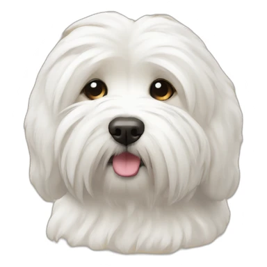 Coton de Tulear sleep sticker