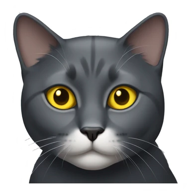 Dark Gray cat with yellow eyes and a small white patch only on chest sticker