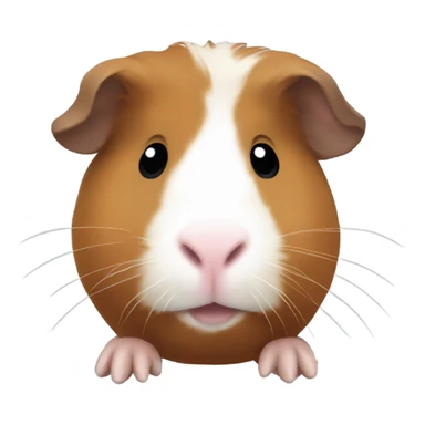 guineapig brown with a white nose sticker