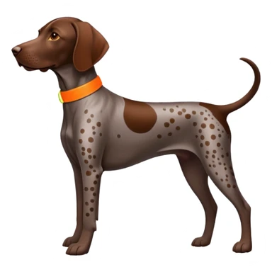  Brown German shorthair pointer with spot on back and neon orange collar  sticker