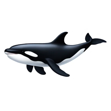 Killer Whale sticker