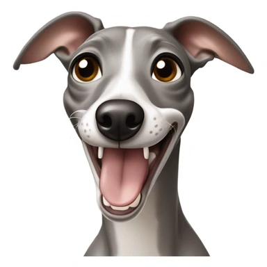 Grey and beige italian greyhound laughing  sticker