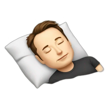 Sleeping elon musk sticker