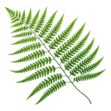 fern sticker