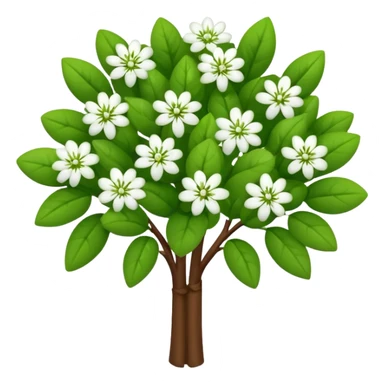 A small bush with round leaves and tiny budding flowers.









































 sticker