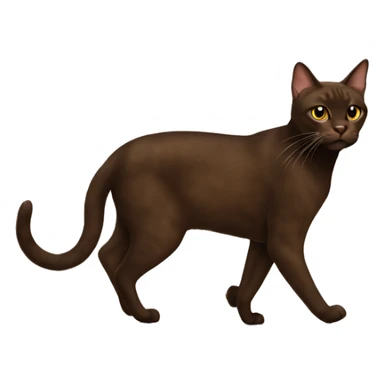 Havana brown cat walking  sticker