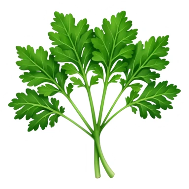 single parsley leaf, fresh, bright green, serrated edges, natural curves, glossy, fine central vein, branching lobes, no stem bunch, no background, soft lighting, emoji scale sticker