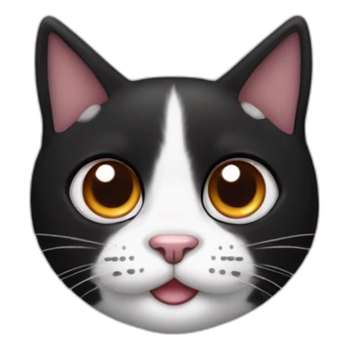 a black and white cat, black on half of the face but with black near ears. The rest is white, his name is oreo.in a part has more black than in the other. Nose is pink and eyes orange sticker