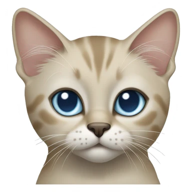 Thai breed cat with a light cream-brown body, dark gray nose and face, ears, and paws. sharp ears, and striking light blue eyes  sticker