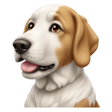 silindir şapkalı köpek balığı sticker