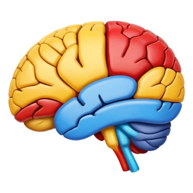 cerebro visto desde arriba con pintura sticker