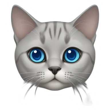 british shorthair and scottish straight mixed cat with blue eyes sticker