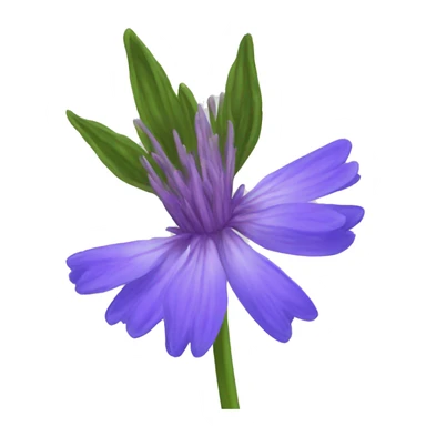 single bachelor's button flower sticker