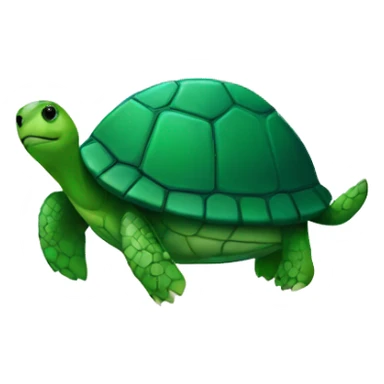 turtle on a fridge sticker
