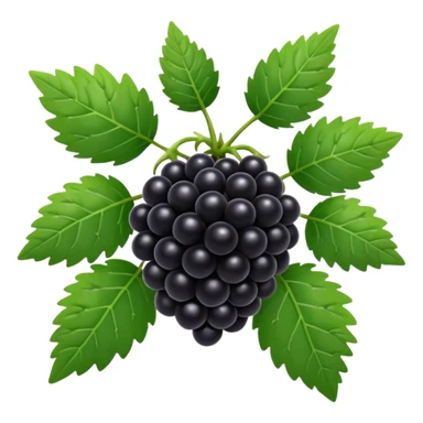 blackberry plant sticker