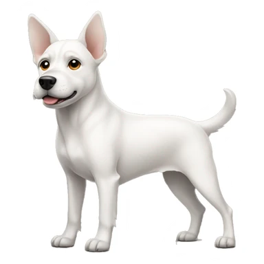 White dog with pointy ears sticker
