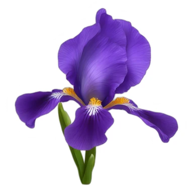 iris flora in anemone sticker