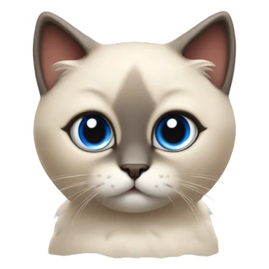 Long, chubby body, cute, flat beige fur, blue round eyes, round pupils, Siamese and ragdoll mix cat, a grey face pattern, fur in his ears, wearing a red ribbon, a long slim tail, darker paws, full body sticker