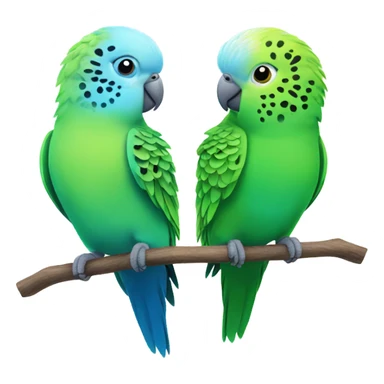 2 green budgies 2 blue budgies  sticker