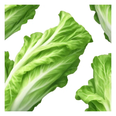 Romaine lettuce sticker