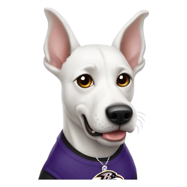 White dog with pointy ears and Baltimore Ravens  sticker