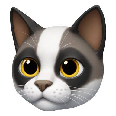 Snowshoe cat with Batman mask sticker