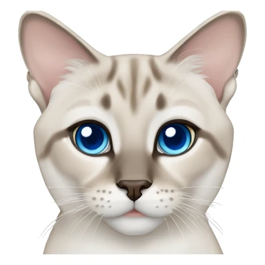 lynx point siamese blue eyes sticker