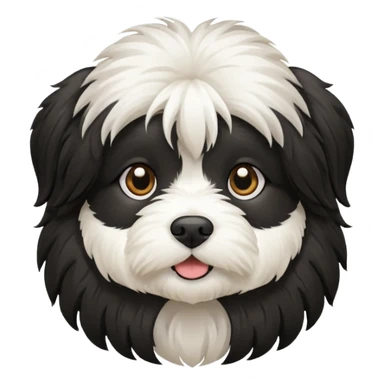 Black and white Havanese dog sticker