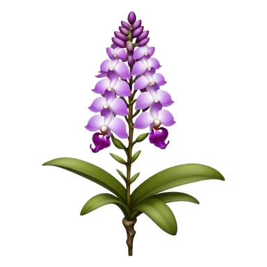 single white purple Rhynchostylis Orchid, 
straight stem sticker