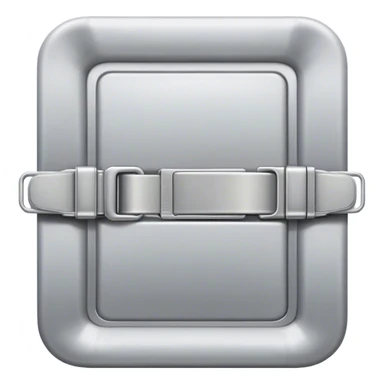 plane seat belt clasp sticker