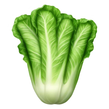 Romaine Lettuce sticker