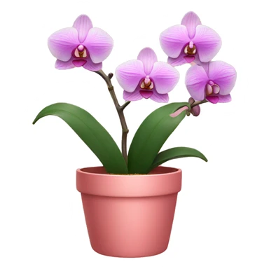 Orchid in a pink pot sticker