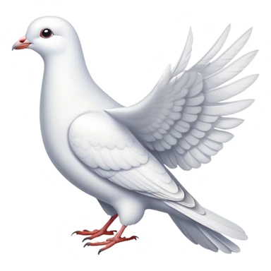 white dove pigeon sticker