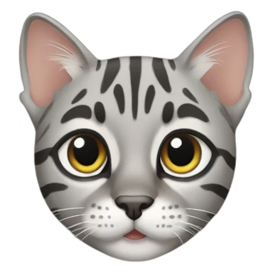 grey bengal cat sticker