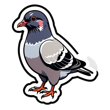Funny pigeon sticker