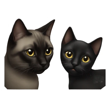 black cat and Siamese cat together sticker