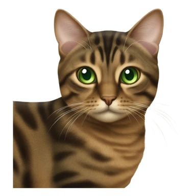 brown torbie cat with green eyes sticker
