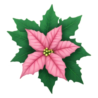 Pink poinsettia  sticker