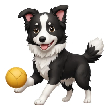 border collie playing with a toy sticker