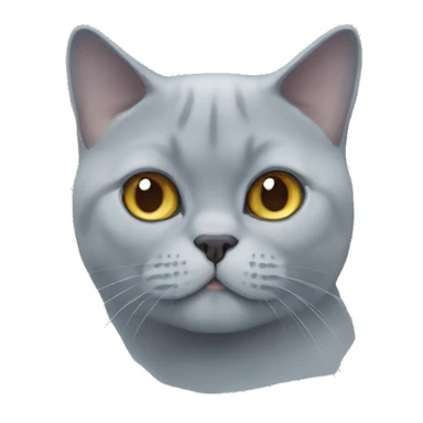 British shorthair cat face more blue sticker