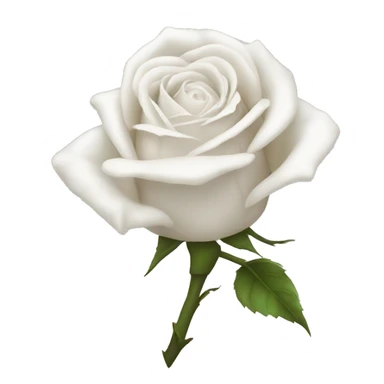 White wilted rose sticker