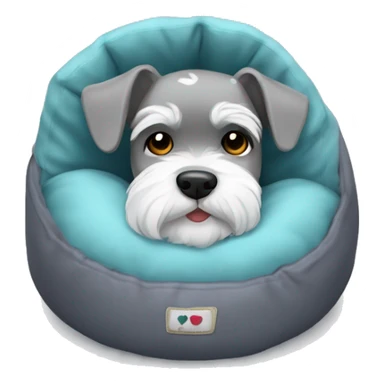 Grey and white mini schnauzer full body asleep in dog bed      sticker