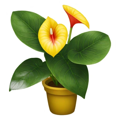 Anthurium yellow  sticker