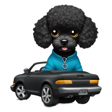 black toy poodle with a black drift car sticker
