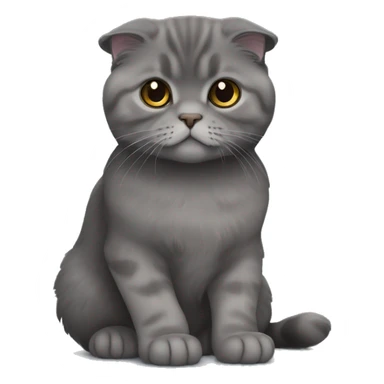 all dark grey Scottish Fold Cat long hair sticker